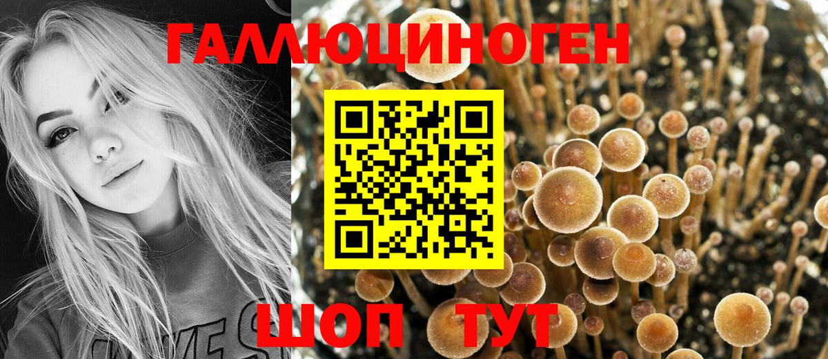 Псилоцибиновые грибы Psilocybe Лангепас