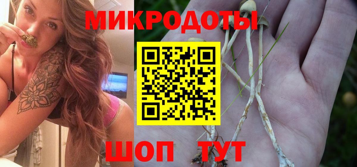 Лангепас  хочу   Вход с VPN  Псилоцибиновые грибы мицелий 